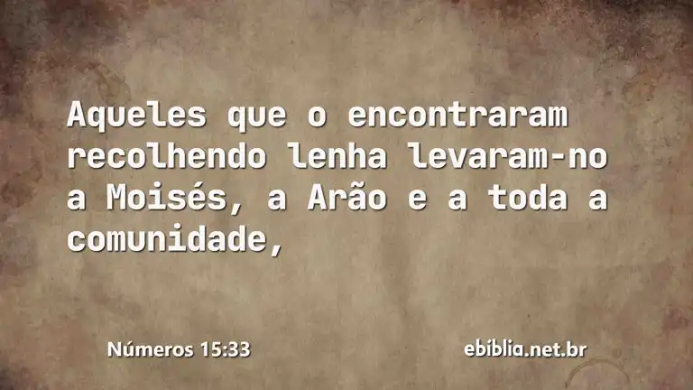 Números 15:33