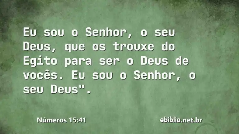 Números 15:41