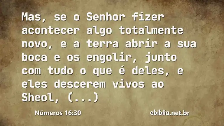 Números 16:30