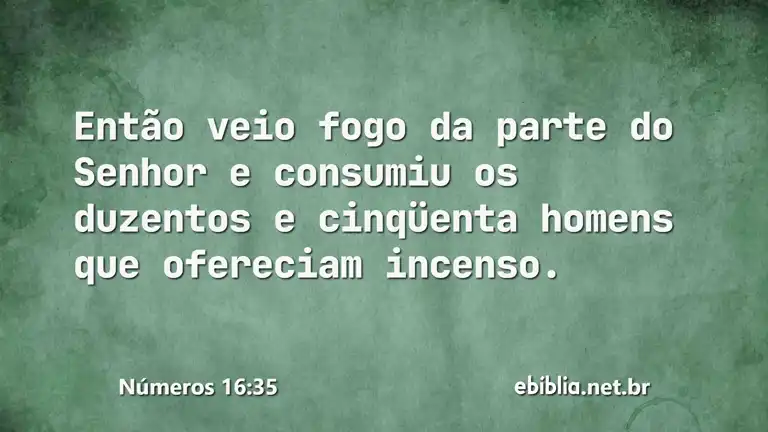 Números 16:35