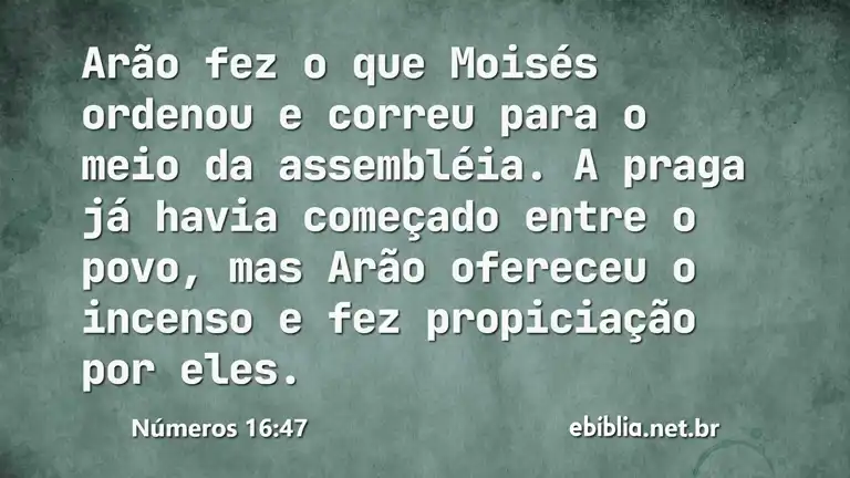 Números 16:47