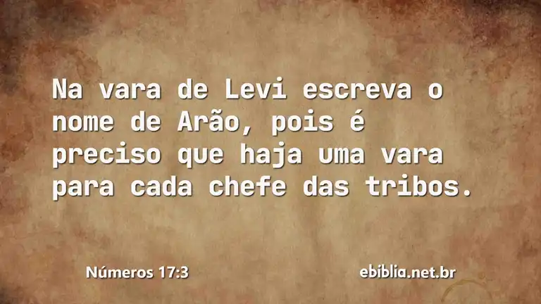 Números 17:3