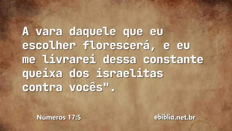 Números 17:5