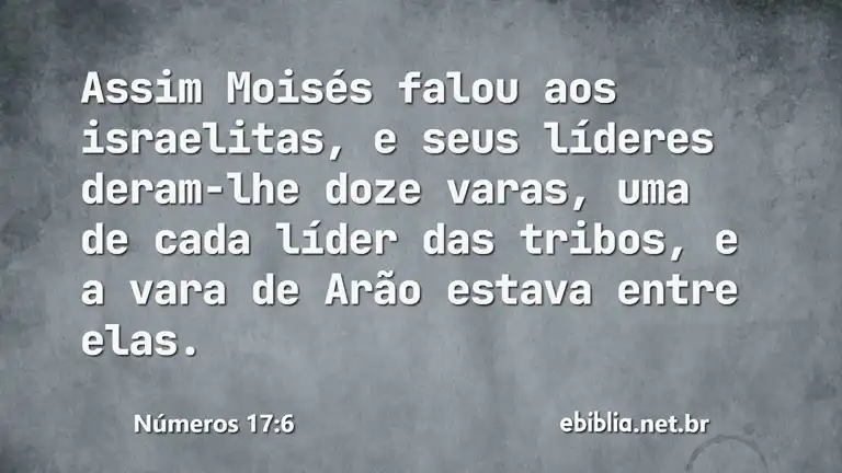 Números 17:6