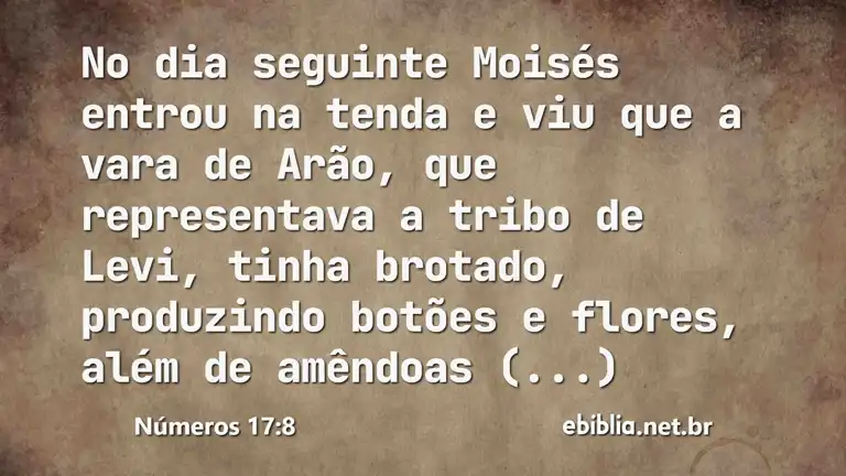 Números 17:8