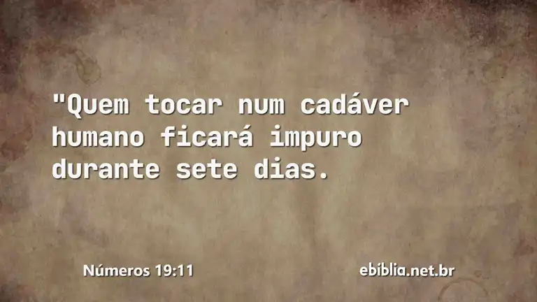 Números 19:11