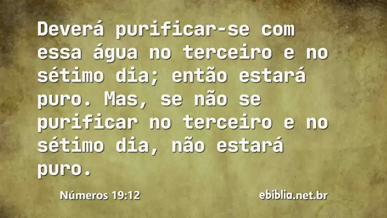 Números 19:12