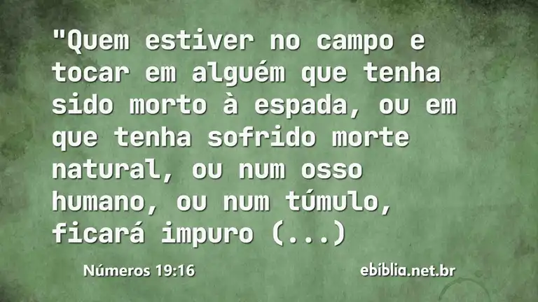 Números 19:16