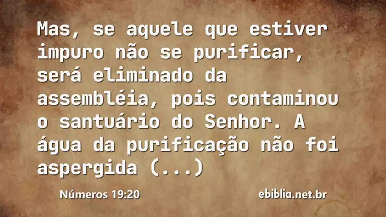 Números 19:20