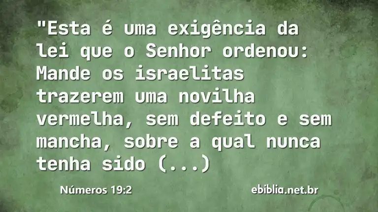 Números 19:2