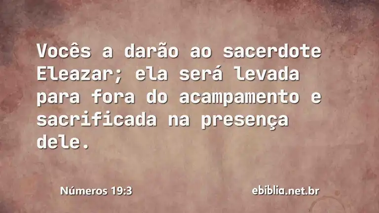 Números 19:3