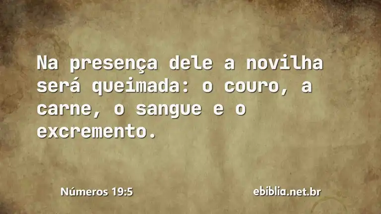 Números 19:5