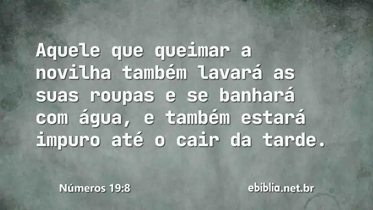 Números 19:8