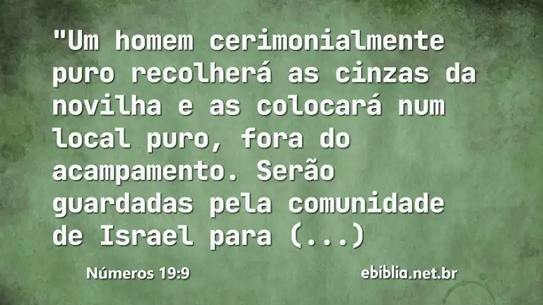 Números 19:9