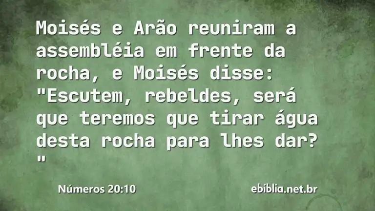 Números 20:10