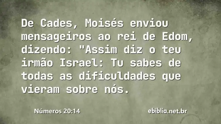 Números 20:14