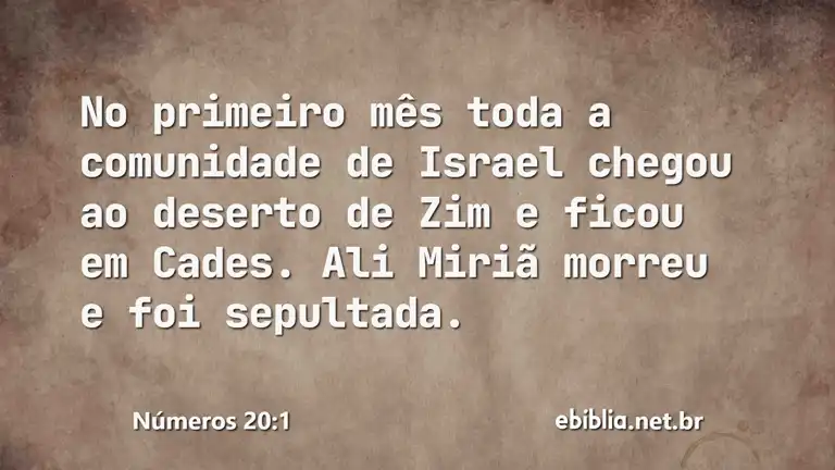 Números 20:1