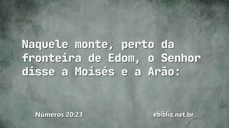 Números 20:23