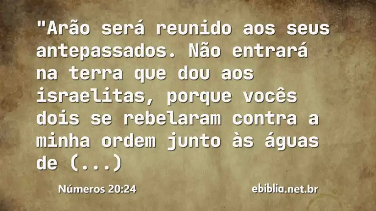 Números 20:24