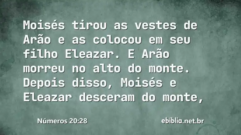 Números 20:28