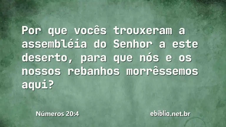 Números 20:4