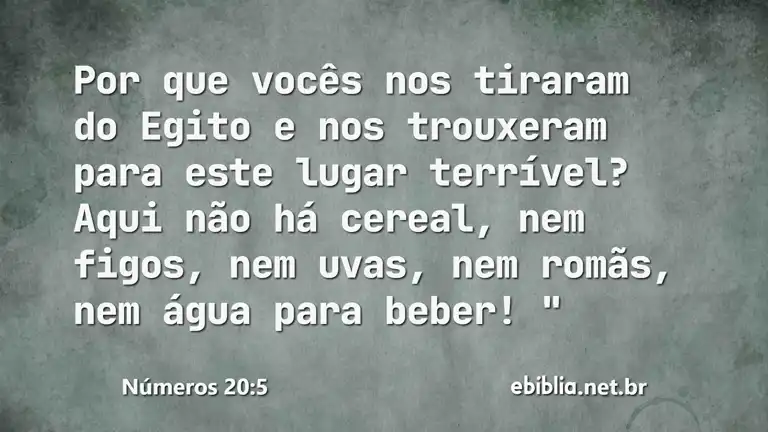 Números 20:5