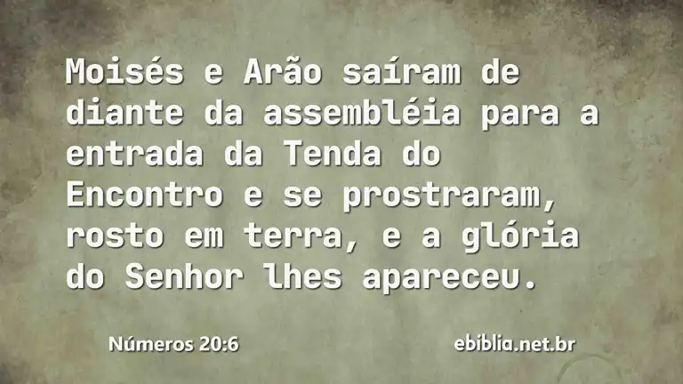 Números 20:6