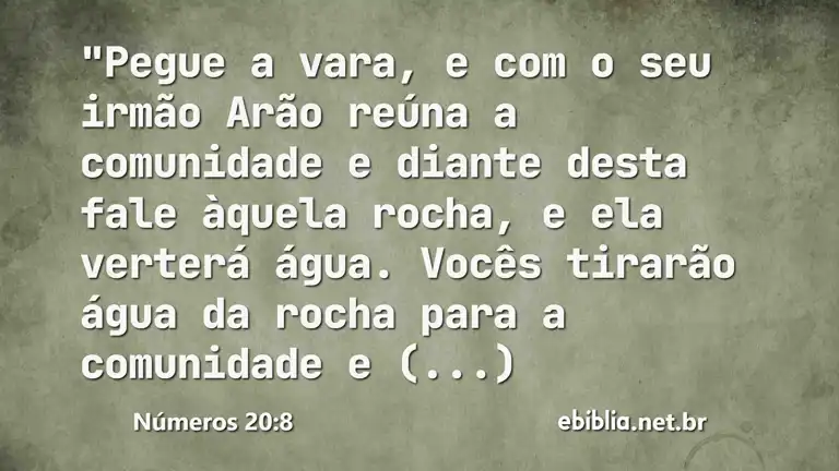 Números 20:8