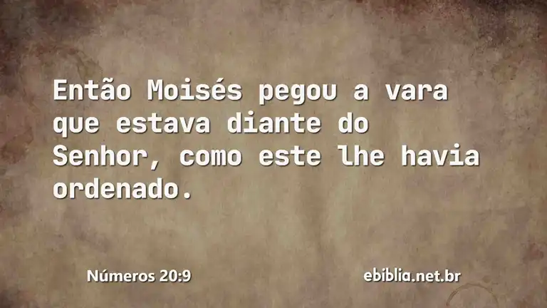 Números 20:9