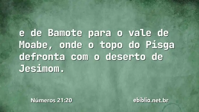 Números 21:20