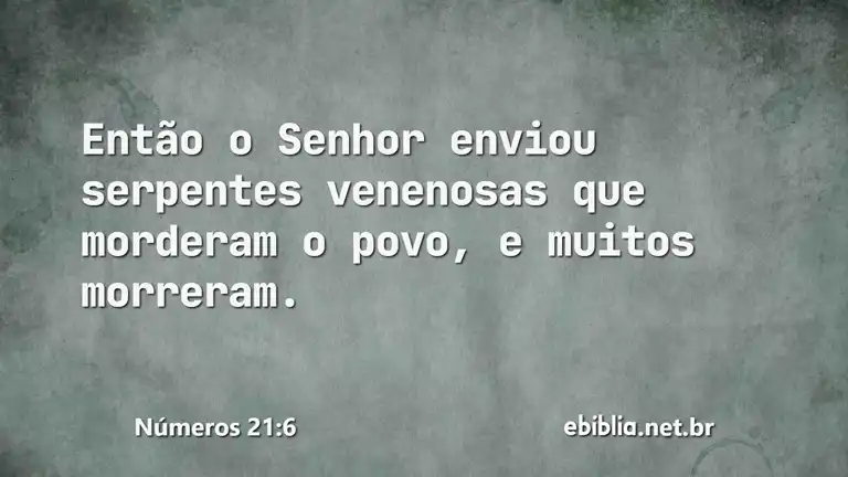 Números 21:6