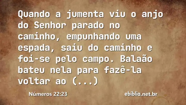 Números 22:23