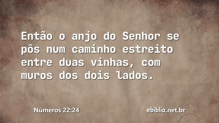 Números 22:24