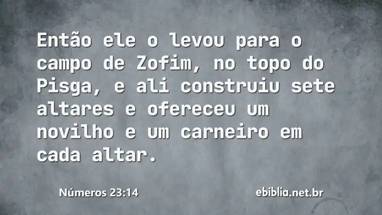 Números 23:14