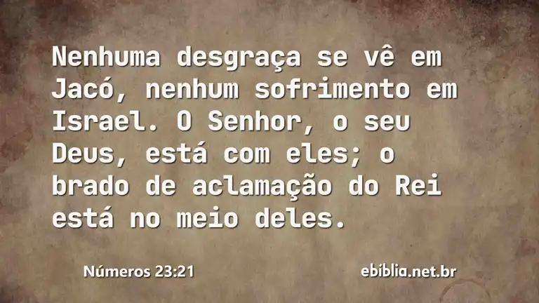 Números 23:21