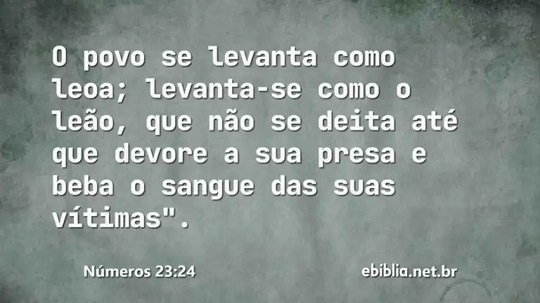 Números 23:24