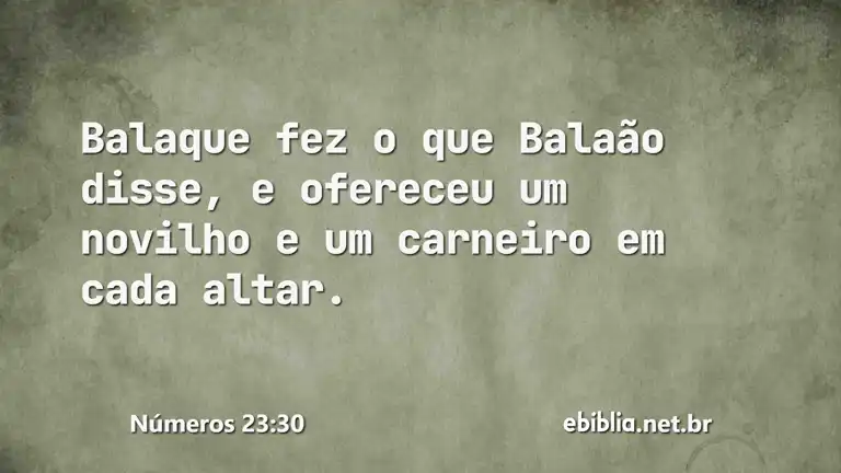 Números 23:30