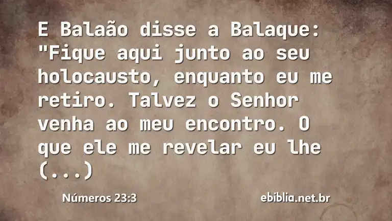 Números 23:3