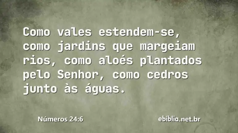 Números 24:6