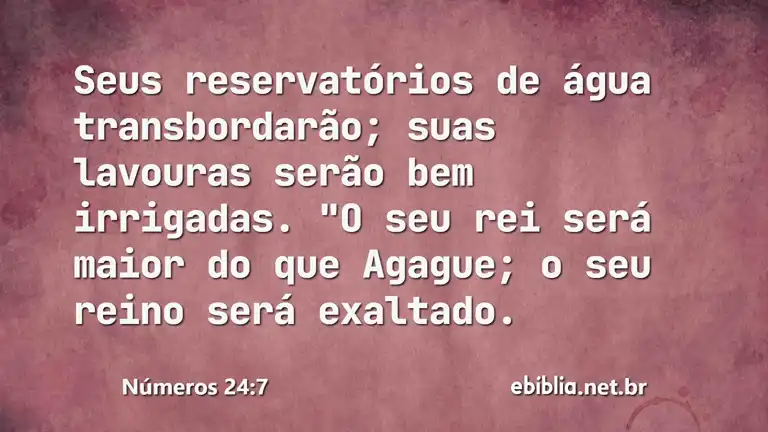 Números 24:7