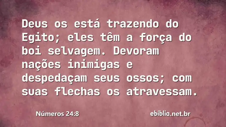 Números 24:8