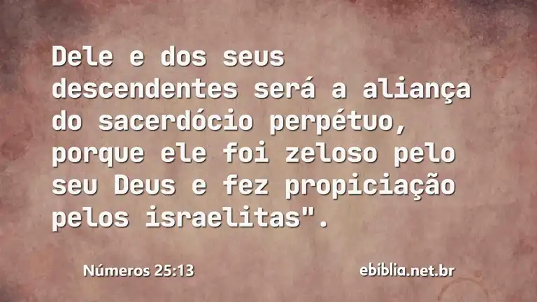 Números 25:13