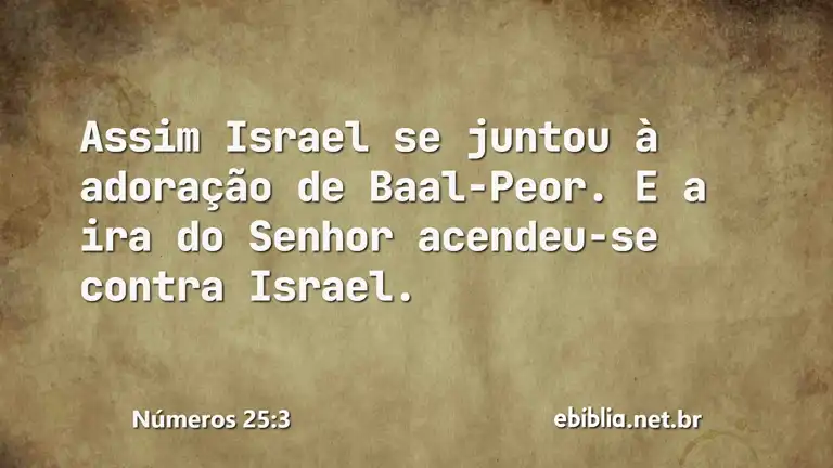 Números 25:3