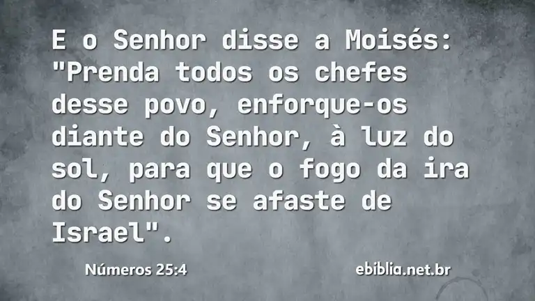 Números 25:4