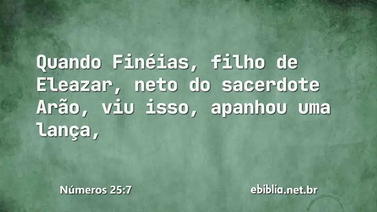 Números 25:7