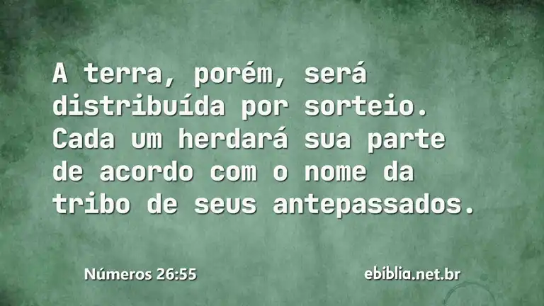 Números 26:55