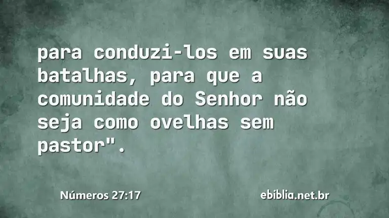 Números 27:17