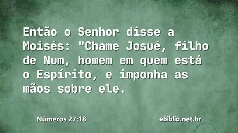 Números 27:18