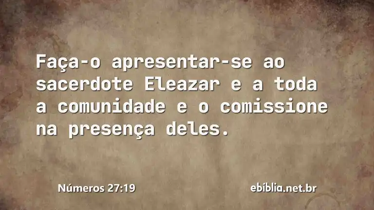 Números 27:19