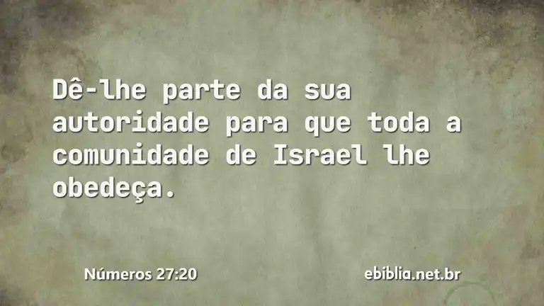 Números 27:20